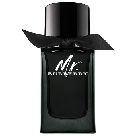 burberry mr. burberry edp